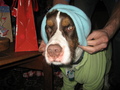 Murphy