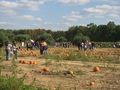 terhune07.jpg