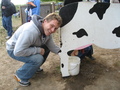 Brians milks the fake cow boobs.