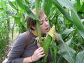 Who knew this maze served hors d'oeuvres...