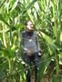 Trapped deep within the Maize Maze